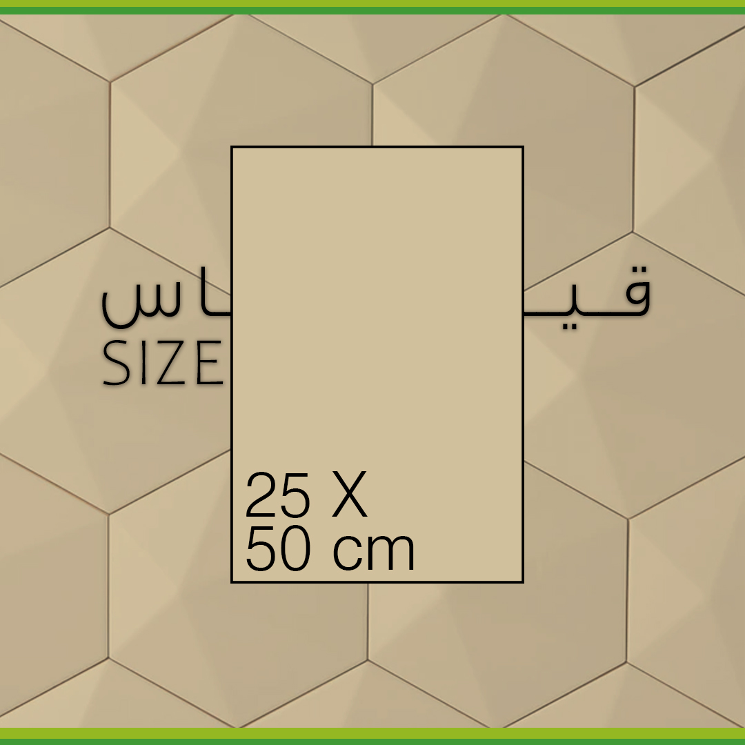 صورة للفئة 50x25 سم
